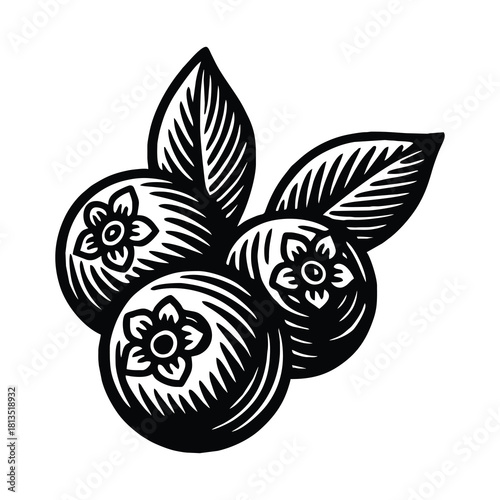 illustration of three blueberries with leaves.
