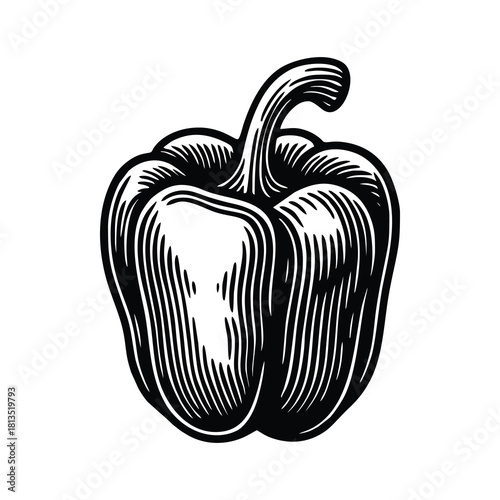 classic bell pepper vegetable illustration.