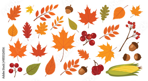 A vibrant collection of autumn leaves, berries, acorns, and a corn cob, illustrating the beauty and bounty of the fall season.