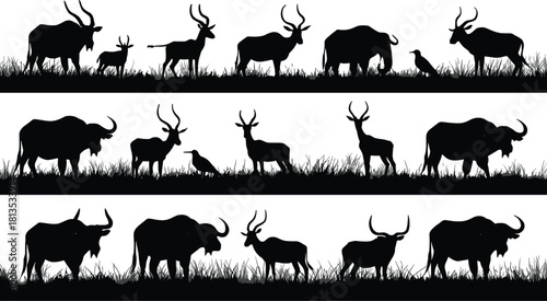 Black silhouettes of African savanna animals and birds on a white background with grass