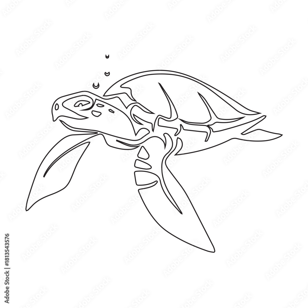 Fototapeta premium Sea Turtle Outline Drawing