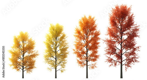 Autumn trees in varying vibrant fall colors, isolated on background isolated on transparent background