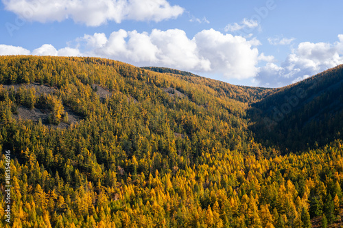 Cuadro en lienzo autumn in the Mongolian mountains, Bogd Khan Uul