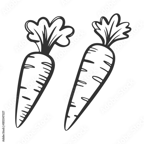 Carrot vegetable in black silhouette vector icons