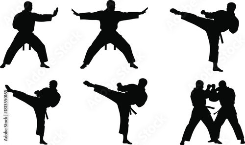 Dynamic Martial Arts Silhouettes Vector Set of Fighters Performing High Kicks, Defensive Blocks, and Fighting Stances, Representing Karate and Taekwondo Training.