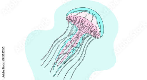 Illustration of a pink jellyfish with long tentacles swimming in blue water.