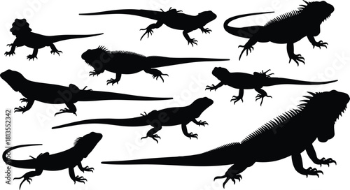 Collection of Lizard and Iguana Silhouettes Vector Set in Various Poses, Featuring Bearded Dragons and Large Reptiles, Ideal for Wildlife and Exotic Pet Themes.