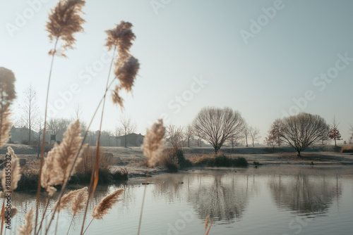 Winter morning frost covering on trees and grass in Boise, Idaho park