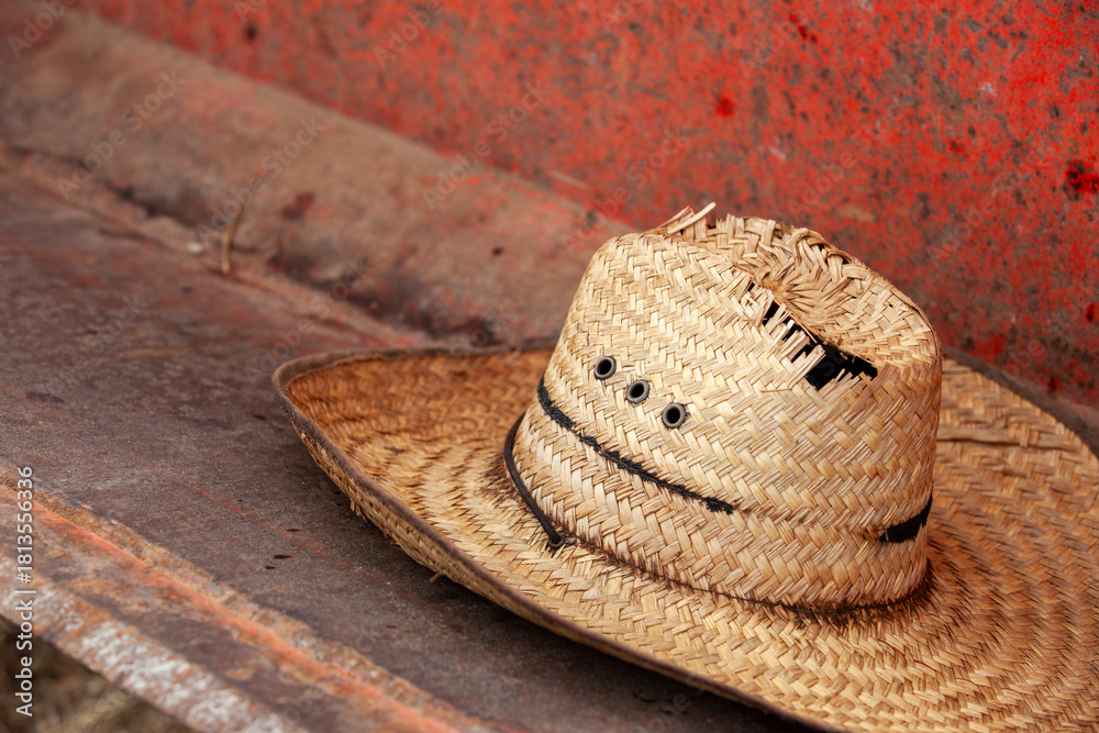 Fototapeta premium Harvest workers hat in bucket of a tractor during fall grape harvest