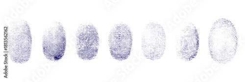 Modern blue fingerprint biometric security icons set for digital identity verification. Blue fingerprint pattern set vector illustration. Unique biometric identity scan concept on white background.