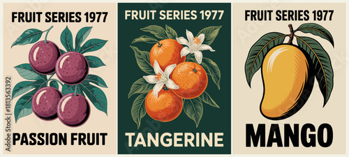 Vintage 1977 fruit poster triptych featuring passion fruit, tangerine, and mango with retro botanical illustrations, detailed shading, and classic mid-century style