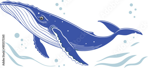 Vibrant blue humpback whale breaching and swimming gracefully in clear ocean water with bubbles