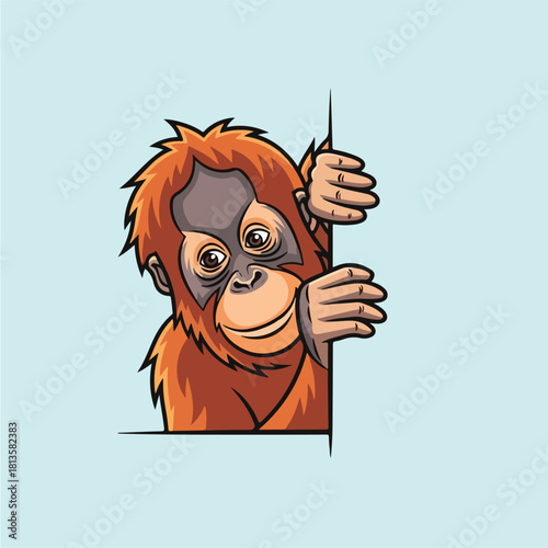 Cute baby orangutan peeking around a corner with curious eyes.