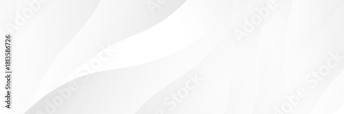 Gray line background curve element with white space for text and message design, overlapping layers, vector eps10