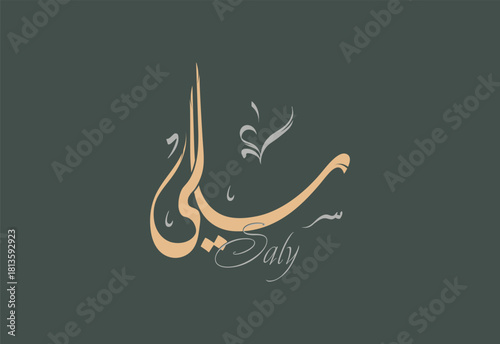 Saly Arabic Diwani Calligraphy Artwork