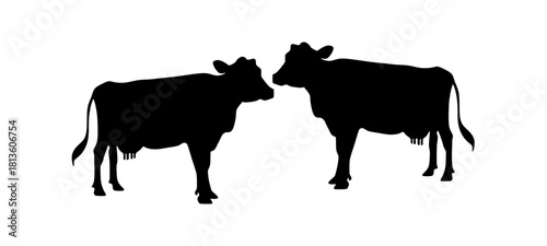 Cow black silhouette isolated on white background. Vector illustration.