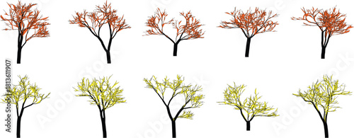 Stylized Illustration of Trees in Autumn and Spring Colors on White