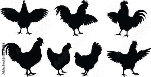 “Collection of chicken and rooster silhouette illustrations showing various poses, domestic farm bird vector set for livestock design and decoration.”