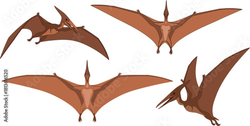 Four Pterodactyls in Flight with Wide Wingspans.