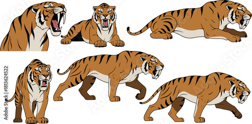 Set of Six Cartoon Tigers in Various Poses and Expressions.