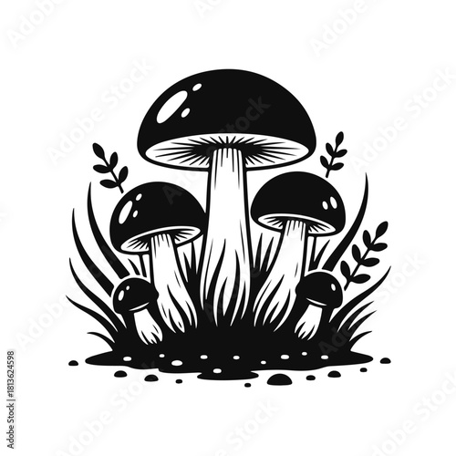 Mushrooms growing in grass black and white line art forest nature scene, wild mushrooms, forest plants, grass field, nature drawing, botanical sketch, mushroom cluster