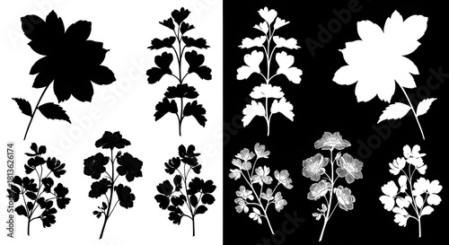 Black and white flower silhouettes with detailed shapes, presented in a high-contrast artistic style for graphic design use.