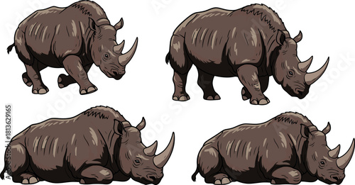 Four Different Poses of a Rhinoceros Illustration.