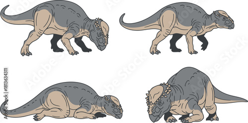 Four illustrations of dinosaurs in different poses on white background.