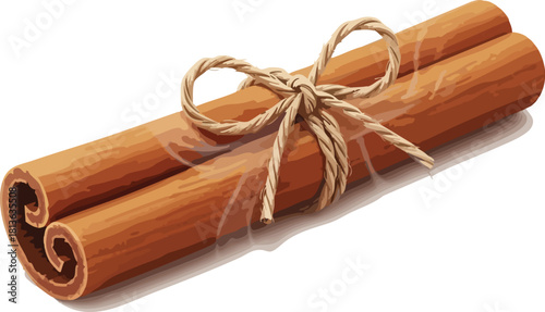 Close-up shot of two cinnamon sticks tied together with a natural twine bow.