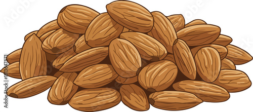 Shelled whole almond nuts vector illustration