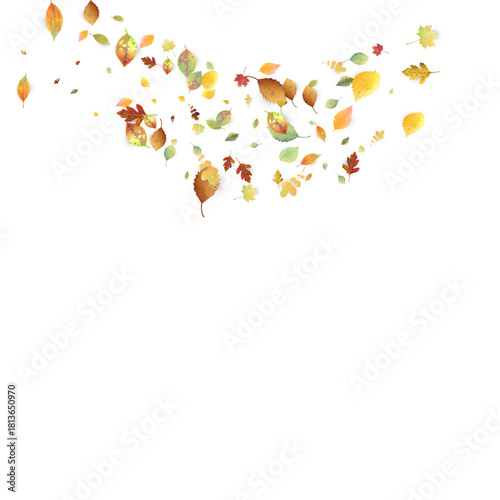 Leaves Falling Autumn Foliage Chaotic Leaf Flying
