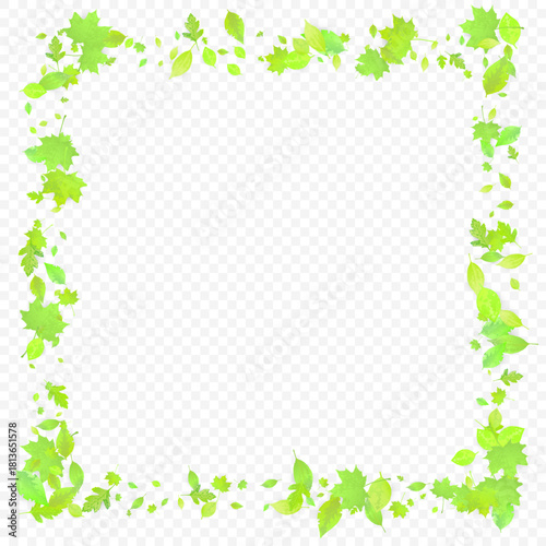 frame with green leaves