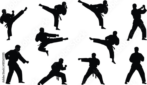 Karate silhouettes set, martial arts fighter in kimono performing kicks and punches, black vector illustration isolated on white background, active sport training