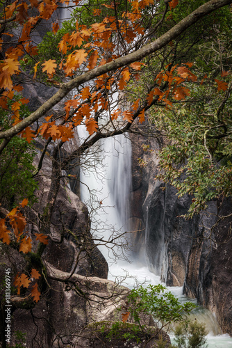 Arado waterfall in autumn framed by tree branches in the mountains of Peneda-Geres National Park, Portugal