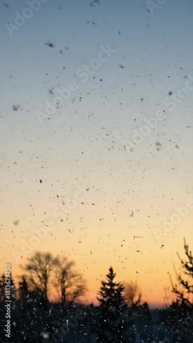 Winter Snowfall Footage Orange Sky Trees Sunset Dusk