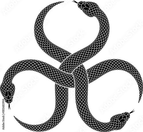 Three Snakes Intertwined to form Biohazard Symbol. Interwoven Serpents Emblem, Mythological Toxic Danger Icon. Black Vector Isolated  Tattoo Illustration.