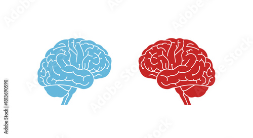 Brainstorming session with two minds sharing ideas, concept for innovation and teamwork on a white background, perfect for science or business