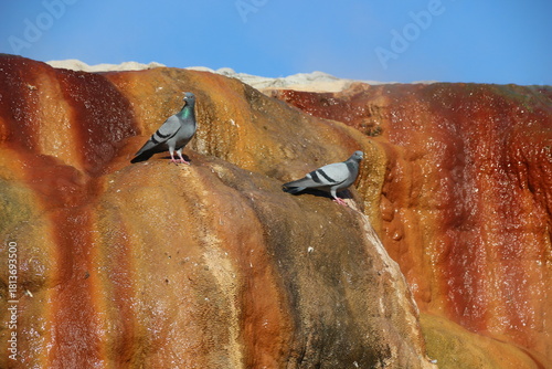 Fototapeta Naklejka Na Ścianę i Meble -  Terme and granite waterfall with geothermal water flowing in Kırşehir, Türkiye