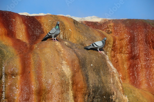 Fototapeta Naklejka Na Ścianę i Meble -  Terme and granite waterfall with geothermal water flowing in Kırşehir, Türkiye