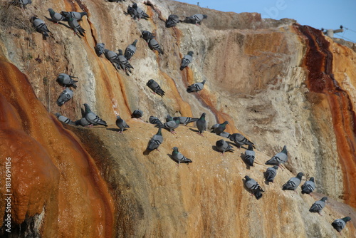 Fototapeta Naklejka Na Ścianę i Meble -  Terme and granite waterfall with geothermal water flowing in Kırşehir, Türkiye