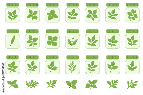 Herbal plant collection in jars on green gradient background