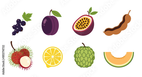 Assortment of colorful fresh fruits in a flat vector style isolated on white