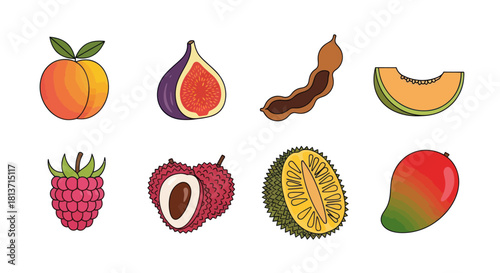 Assortment of colorful fruit illustrations isolated on a white background