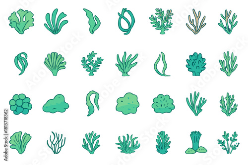 Seaweed and coral icon set in hand-drawn marine style