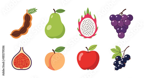Assortment of colorful fruits vector illustrations for design projects