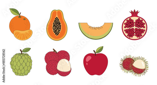 Assortment of vibrant fruits in a clean vector graphic for design projects