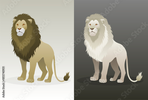 Standing brown and white lions in detailed flat style, showing strong wildlife character for posters, branding, and educational designs, vector illustration
