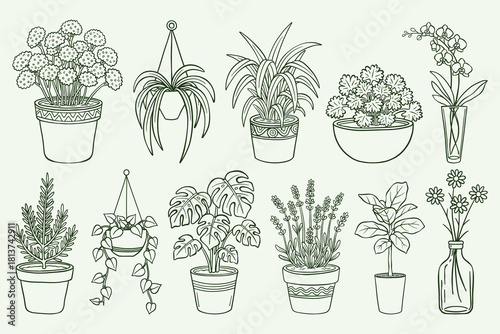 Potted Plant Line Art Set, Indoor Houseplants Outline Illustrations