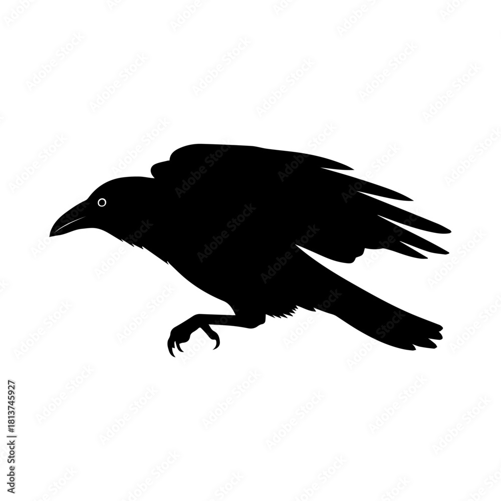 Obraz premium Black silhouette of a raven with its wings spread against a white background