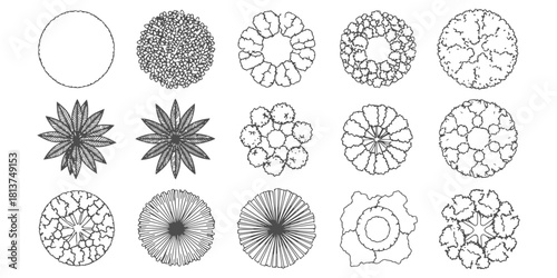 CAD Drawings. Top view of different tress. Vector illustration.
